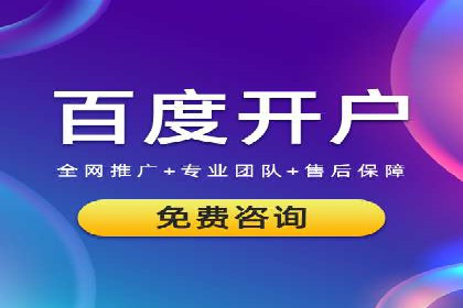 百度竞价广告与自然搜索排名的结合策略案例